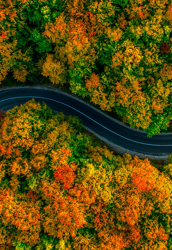 All-Season Tires